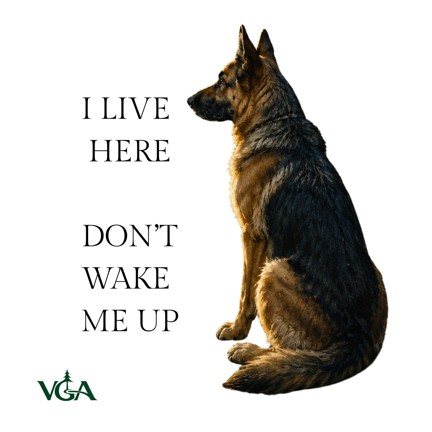 Don’t Wake Me Up - Nova – Car Stickers