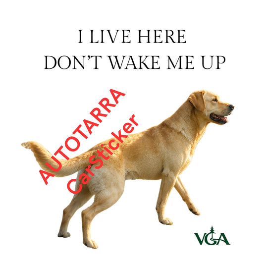 Don’t Wake Me Up Lumi – Car Stickers