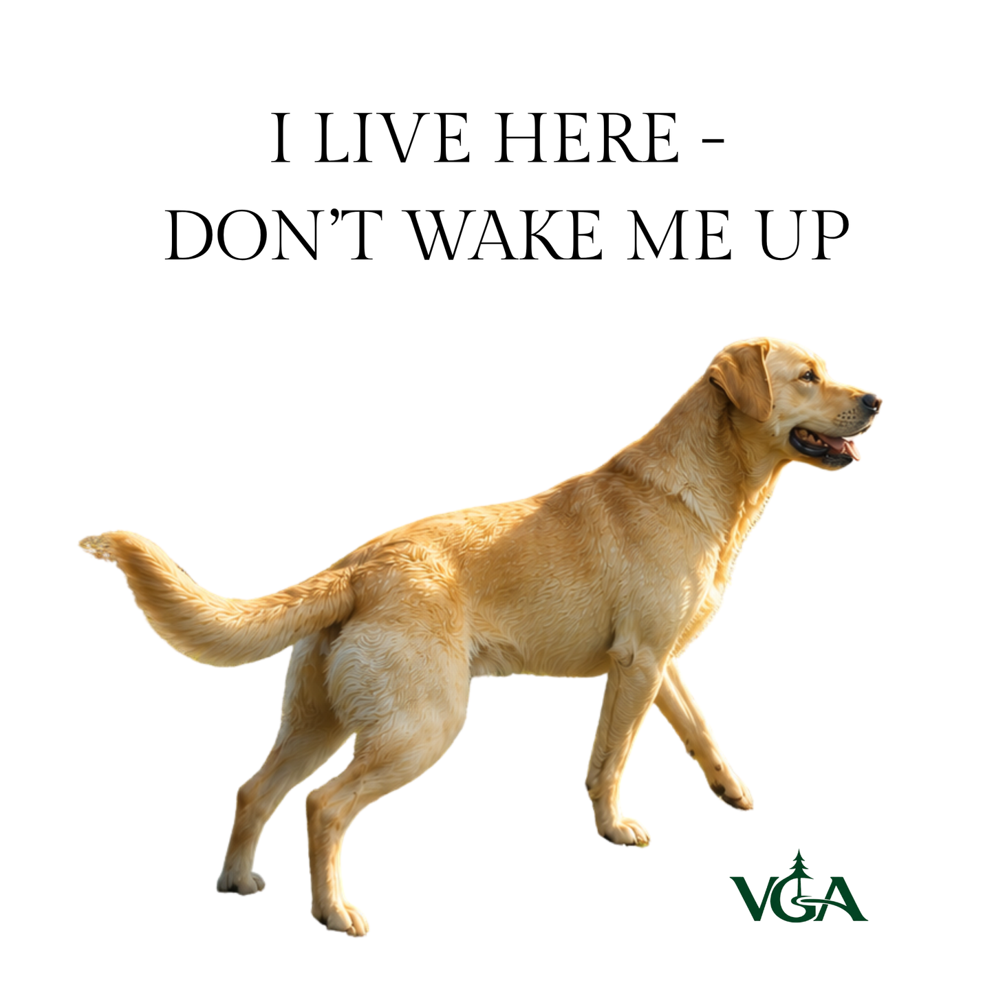 Don’t Wake Me Up Lumi – Car Stickers