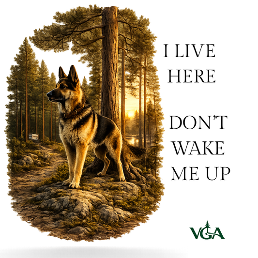 I Live Here, Don’t Wake Me Up -autotarra Vintage Guardian Adventures -kuvituksella ja VGA-logolla